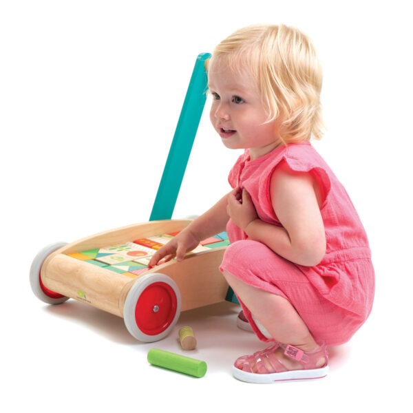 Baby Block Walker - Traditional Wooden Walkers and Strollers for Toddlers - Tender Leaf Toys