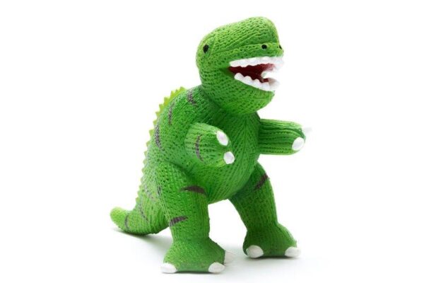 Green T-Rex Rubber Dinosaur Teething Toy - Best Years