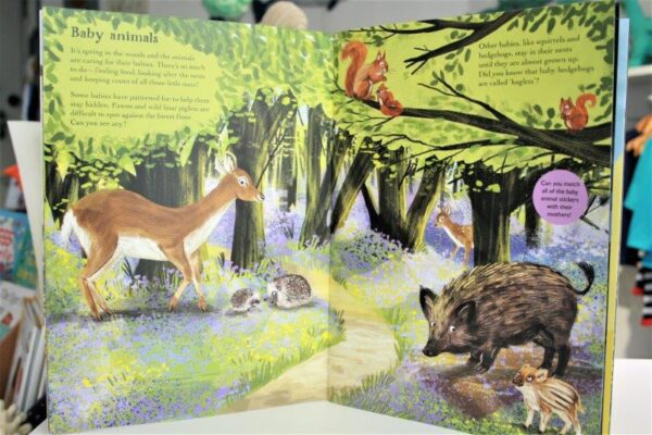 The National Trusts Children's Book About British Animals