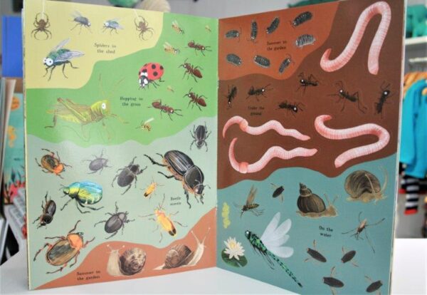 The National Trusts Children's Book about British Minibeasts