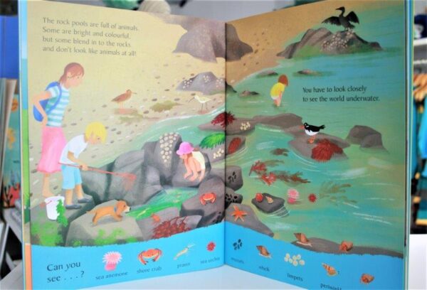The National Trusts Look and Say What You See At The Seaside Educational Book for Children