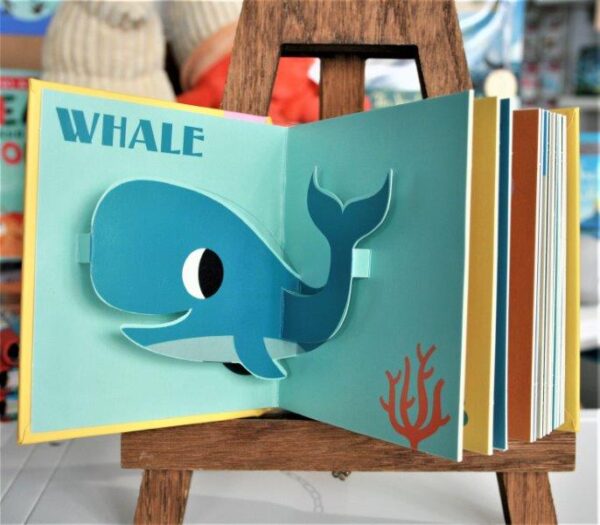 Pop Up Ocean Seaside Book for Children