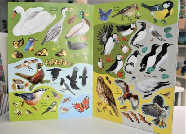 The National Trusts Children's Book of British Birds