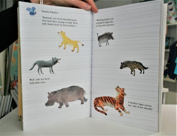 Wildlife and Wild Animal Sticker Book for Children