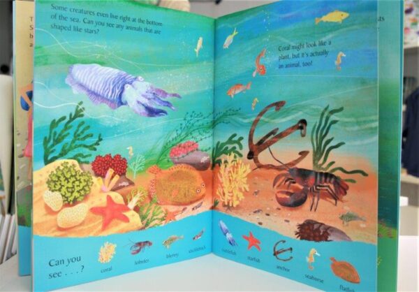 The National Trusts Look and Say What You See At The Seaside Educational Book for Children
