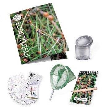 About Bugs Educational Nature Kits for Children - Flights of Fancy - Lagoon