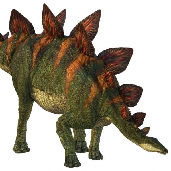 Dinosaur Projector and Torch for Children - Natural History Museum - Brainstorm Toys
