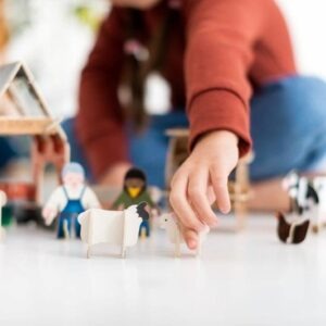 Farmyard and Animals 3D Cardboard Pop-Out model Making Playset for Children by PlayPress