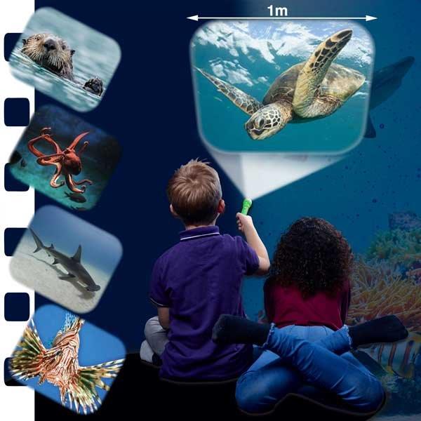 Sea Creature Ocean Projector and Torch for Children from Brainstorm Toys