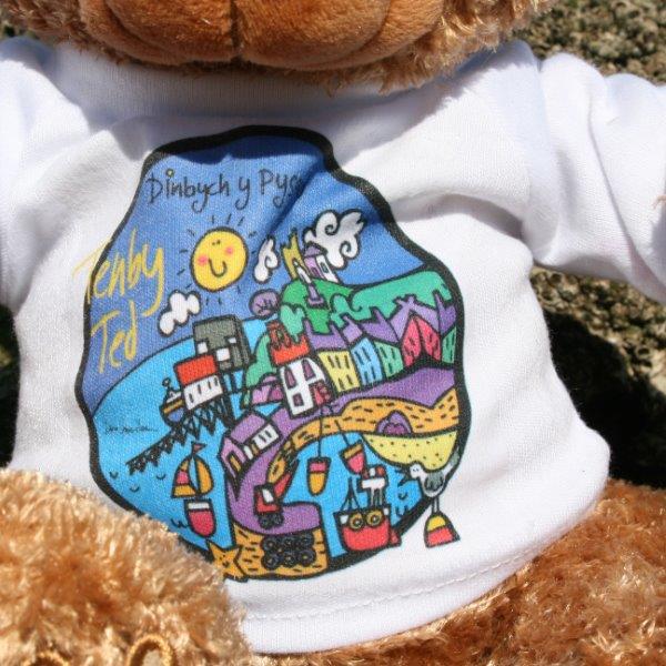 Tenby T-Shirt on Chestnut Brown Tenby Ted Teddy Bear