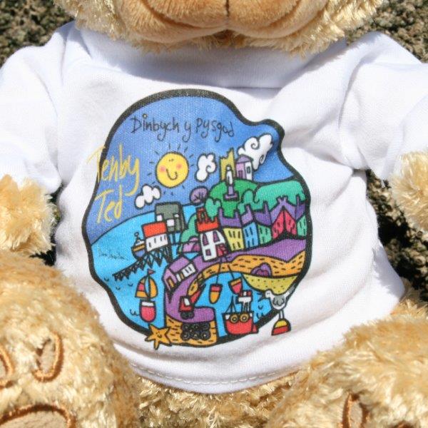 Tenby T-Shirt on Chestnut Brown Tenby Ted Teddy Bear