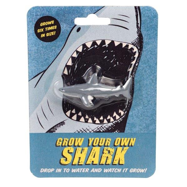 Grown Your Own Shark - Rex London - Novelty Growing Shark for Children - Stocking Filler