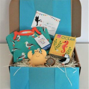 Seaside Delux Baby Gift Box - Toby Tiger Sleep Suit, Tikiri Teether, Tenderleaf Puffin - Pop Up Ocean Book - Ebb & Flow Kids