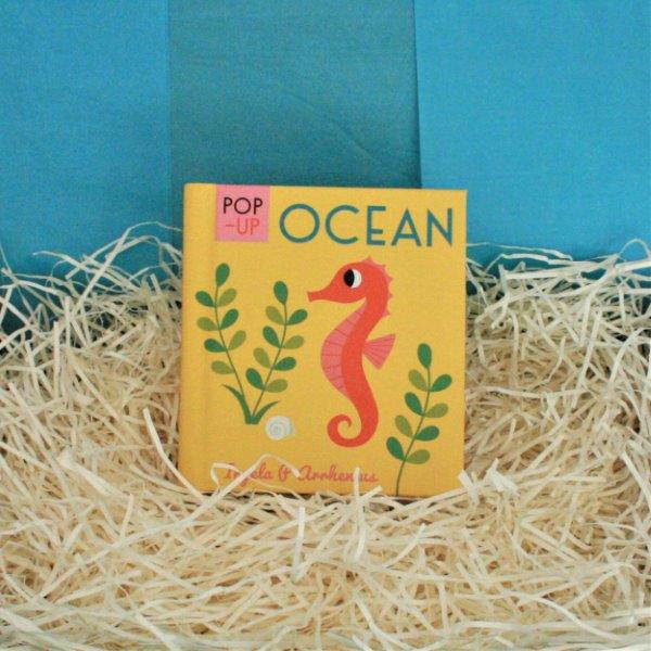 Ocean Pop Up Book - Front Cover - Seaside Delux Baby Gift Box - Ebb & Flow Kids