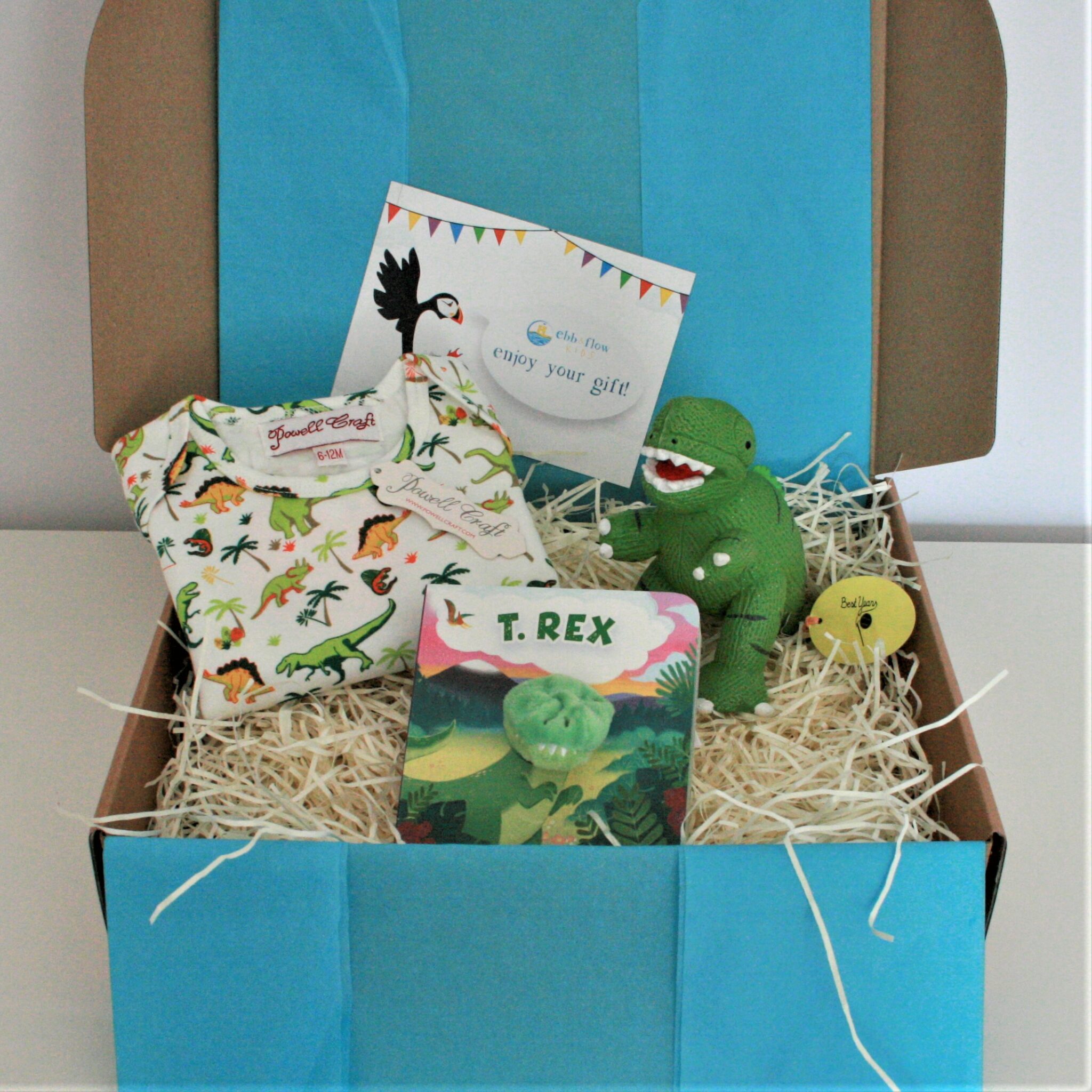 Dinosaur Baby Gift Box - Ebb & Flow Kids