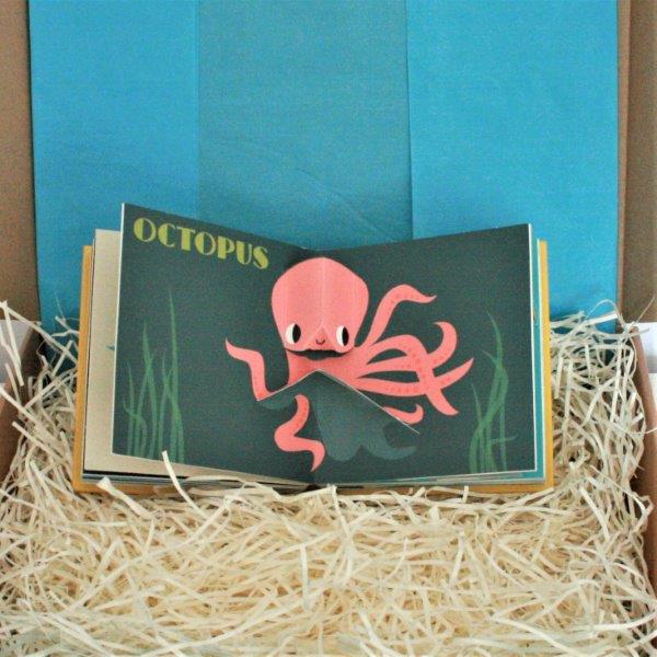 Ocean Pop Up Book - Octopus - Seaside Delux Baby Gift Box - Ebb & Flow Kids