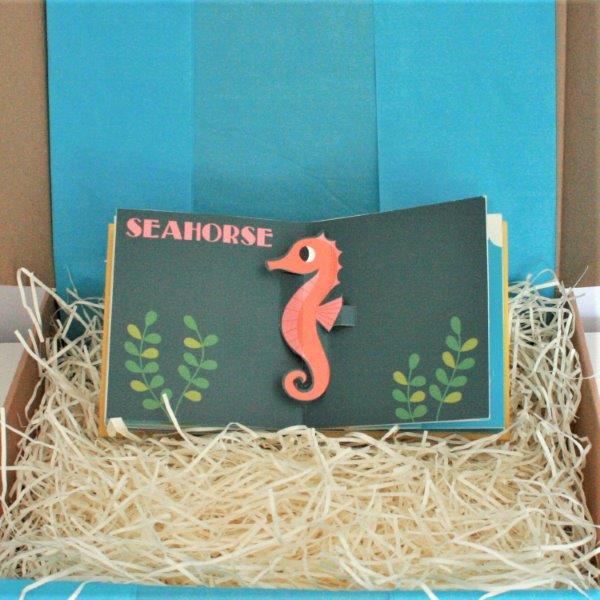 Ocean Pop Up Book - Seahorse - Seaside Delux Baby Gift Box - Ebb & Flow Kids