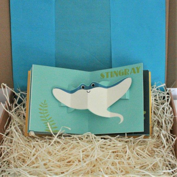 Ocean Pop Up Book - Sting Ray - Seaside Delux Baby Gift Box - Ebb & Flow Kids
