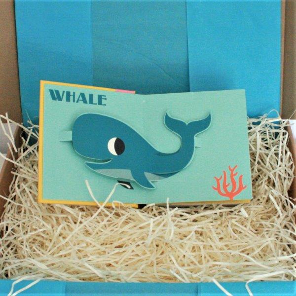 Ocean Pop Up Book - Whale - Seaside Delux Baby Gift Box - Ebb & Flow Kids