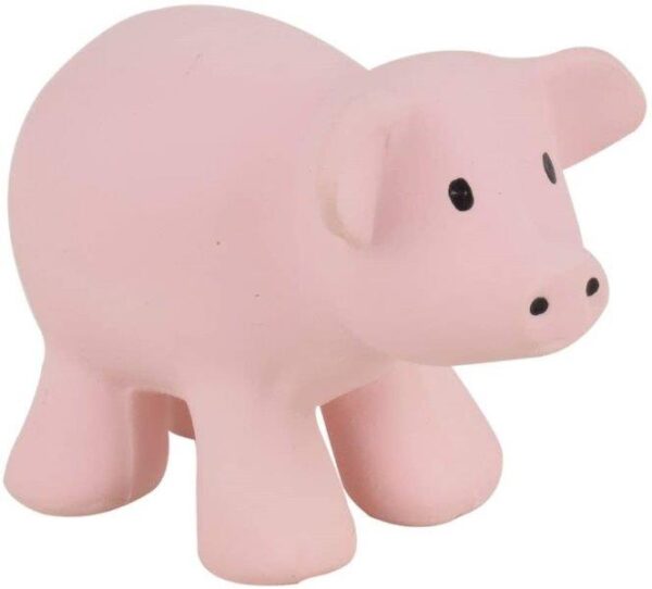 Pig Organic Rubber Teether - Tikiri - Rose Baby Gift Box - Ebb & Flow Kids