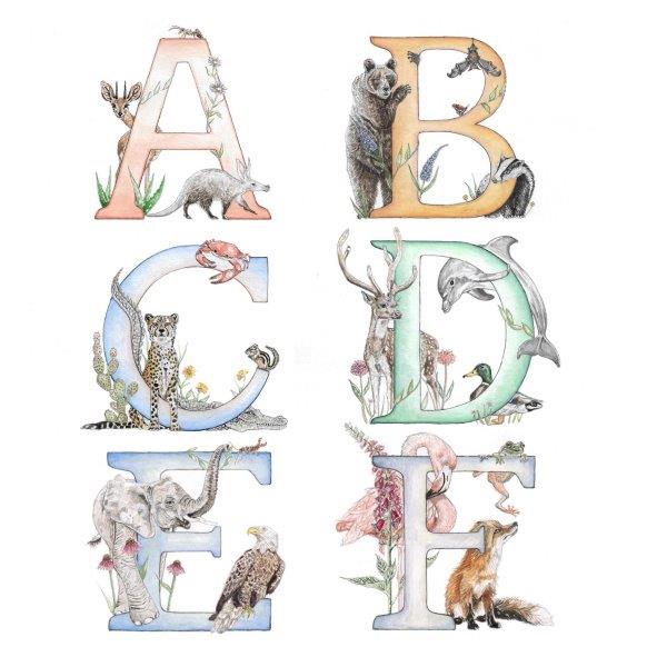 The letters of the alphabet A to F illustrated by Kathryn Pow with highly detailed animals and plants