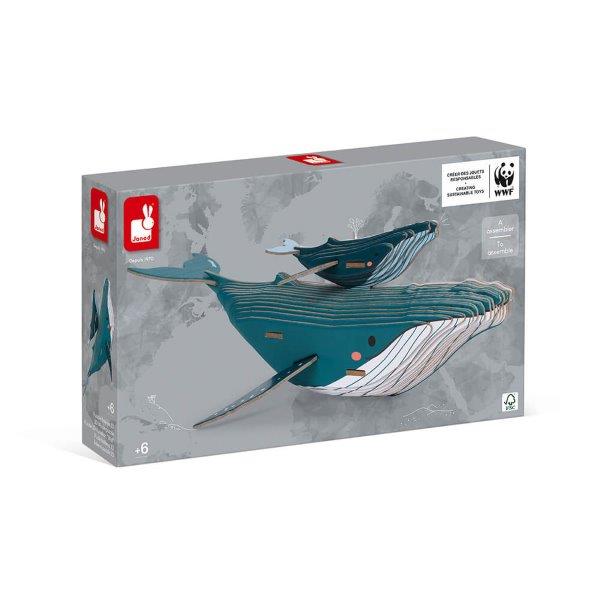 Quality cardboard whale kit for kids to make. 3d model to keep